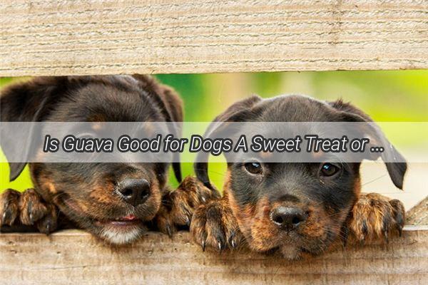 Is Guava Good for Dogs A Sweet Treat or a Risky Snack